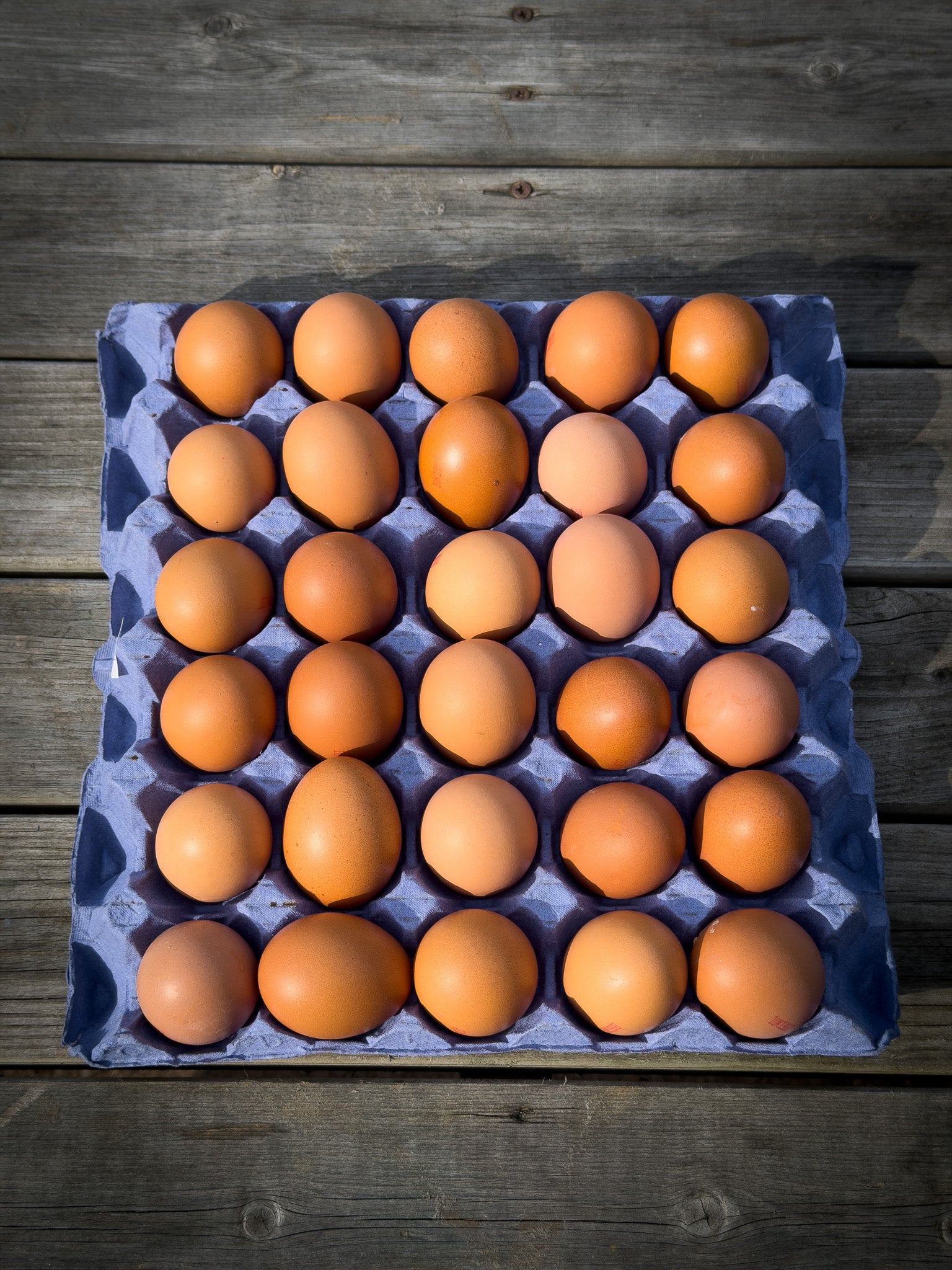 Tray of 30 Medium Free Range Eggs